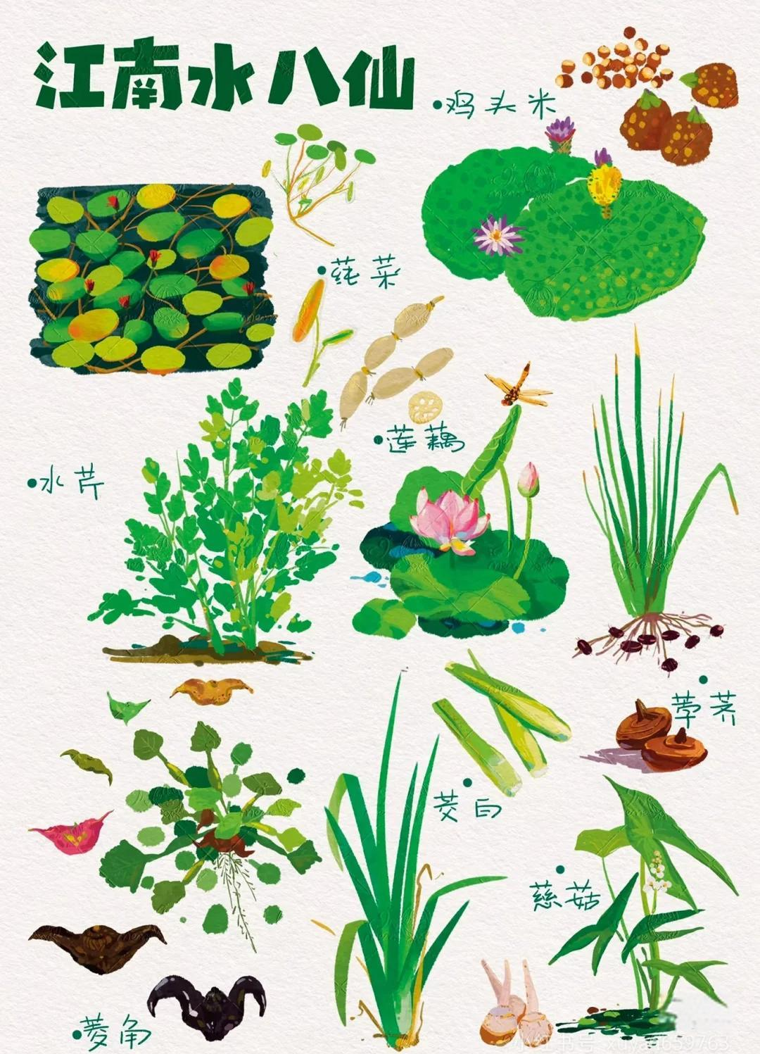周鸿承:东方膳食，物尽其用的千年智慧点亮可持续健康路